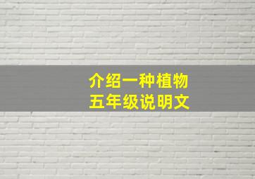 介绍一种植物 五年级说明文